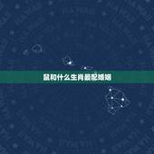 鼠和什么生肖最配婚姻，生肖鼠更佳婚配对象