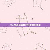 今天生肖运势好不好老黄历查询，2022 生肖运势