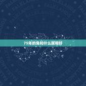 75年的兔和什么属相好，75年属兔的女人找什么属相的男人最佳