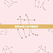 属相都是几月结婚最好，属兔的几月结婚最好