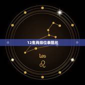 12生肖排位表图片，2022 年12生肖对照表