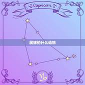 属猪怕什么动物，属猪与什么属相相克