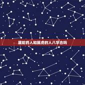 属蛇的人和属虎的人八字合吗，属虎和属蛇的婚配好不好