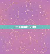 十二属相佩戴什么佛像，十二生肖适合佩戴什么饰物
