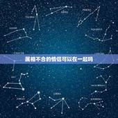 属相不合的情侣可以在一起吗，两个人属相不合在一起生活真的不好吗？