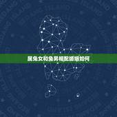 属兔女和兔男相配婚姻如何，属兔女和属兔男的结合好不好