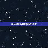 属马和属马婚配相配好不好，属马与属马的婚配怎么样