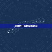 属鼠的什么数字有财运，1984年属鼠人一生财运