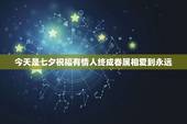 今天是七夕祝福有情人终成眷属相爱到永远，用《七夕情人节祝福有情人终成眷