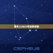 属牛人2021年运势详解，1985属牛人2021年全年运势