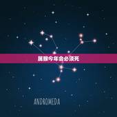 属猴今年会必须死，属猴的今年几岁了