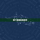 哪个属相旺兔发财，什么属相最旺虎兔鼠