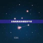 女兔和男虎的婚配好不好，1987年属兔几月出生好