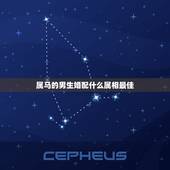 属马的男生婚配什么属相最佳，男生肖属马和哪个生肖最配