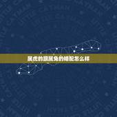 属虎的跟属兔的婚配怎么样，今年属虎和属兔的婚姻咋样