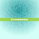 属牛的和属猪的相配吗，属牛和属猪相配吗