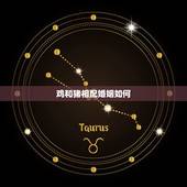 鸡和猪相配婚姻如何，属鸡的姻缘怎么样