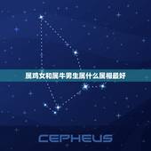 属鸡女和属牛男生属什么属相最好，男属鸡女属牛配吗？属鸡和属牛配吗