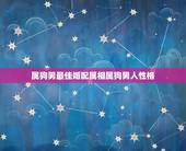 属狗男最佳婚配属相属狗男人性格，属狗的最佳配偶属相