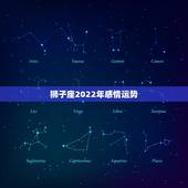 狮子座2022年感情运势，2021年狮子座运势爱情运势