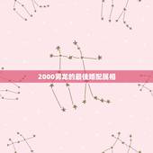 2000男龙的最佳婚配属相，属相婚配女的属龙和什么属相最好
