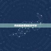 鸡和猴属相婚配好不好，属鸡和属猴相配吗？