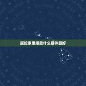 属蛇家里摆放什么摆件最好，1977属蛇的家里摆放什么