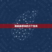 属鼠最忌讳的三个生肖，属鼠的人最怕的三个生肖