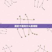 属蛇不能和什么属相配，阳历6月属蛇的男人和什么属相最配