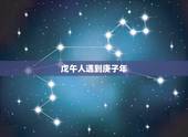 戊午人遇到庚子年，戊午日柱遇什么地支大富