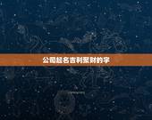 公司起名吉利聚财的字，给公司起名寓意好的字有哪些