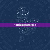 11月摩羯座运势2022，11月25日的摩羯座今晚运势如何