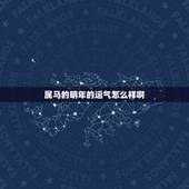 属马的明年的运气怎么样啊，生肖属马明年运势