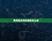 男鸡和女鸡的婚配怎么样，男属鸡，女属鸡婚配怎么样