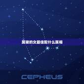 属猪的女最佳配什么属相，属猪的女和什么属相最配