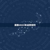 属猴2022年运势如何，属猴未来5年运势走向