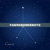 牛生属鸡的最佳婚配属相合不合，请问，属牛的和属鸡的属相不相克吧
