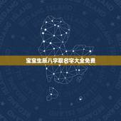宝宝生辰八字取名字大全免费，生辰八字取名字大全