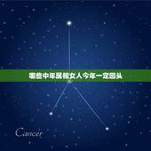 哪些中年属相女人今年一定回头，人到中年，富贵逼人，衣食无忧的生肖都有哪