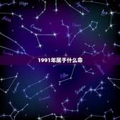 1991年属于什么命，1987年属于什么命