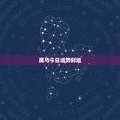 属马今日运势财运，属马的十月份有哪几天运气好