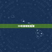 59年猪婚配属相，1971年属猪和1959年猪相配吗