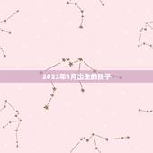 2023年1月出生的孩子，2023年1月生的孩子，哪一年可以上幼儿园、