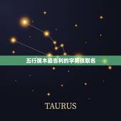 五行属木最吉利的字男孩取名，属木的男孩名字寓意好的字