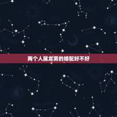 两个人属龙男的婚配好不好，两个人都是属龙在一起好吗？