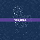 75年兔是什么年，1975年中国发生的大事