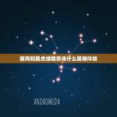 属狗和属虎结婚忌讳什么属相伴娘，属虎的可以当伴娘吗 哪些生肖不适合当伴
