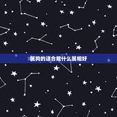 属狗的适合戴什么属相好，生肖狗带什么好