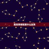 属龙男婚配属什么生肖，男属龙的和什么属相最配