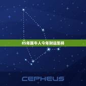 85年属牛人今年财运怎样 2022年属牛全年财运